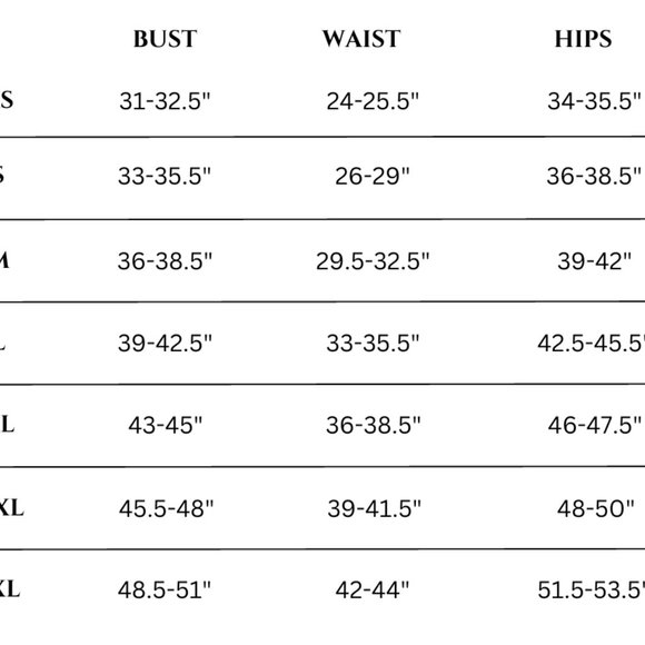 Dehanche Inspired Leather Corset Belt with Tie Straps - Picture 11 of 11